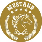 Mustang Professional