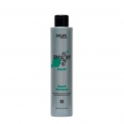 Шампунь восстанавливающий для поврежденных волос, 300мл SMART CARE Repair Shampoo